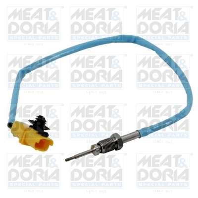 Sensor, exhaust gas temperature